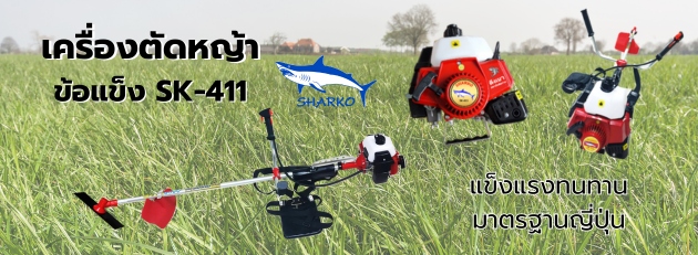 Promotion Image